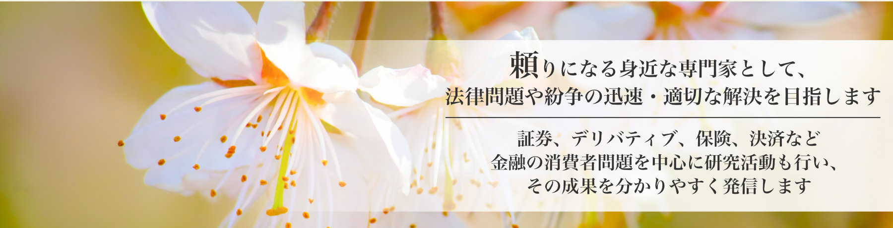 頼りになる身近な専門家として、法律問題や紛争の迅速・適切な解決を目指します。証券、デリバティブ、保険、決済など、金融の消費者問題を中心に研究活動も行い、その成果を分かりやすく発信します。
